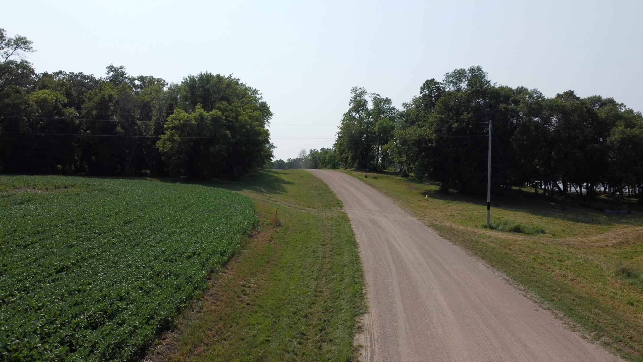 The-Road.jpg