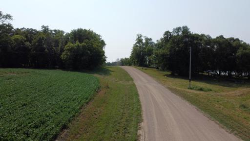 The-Road.jpg