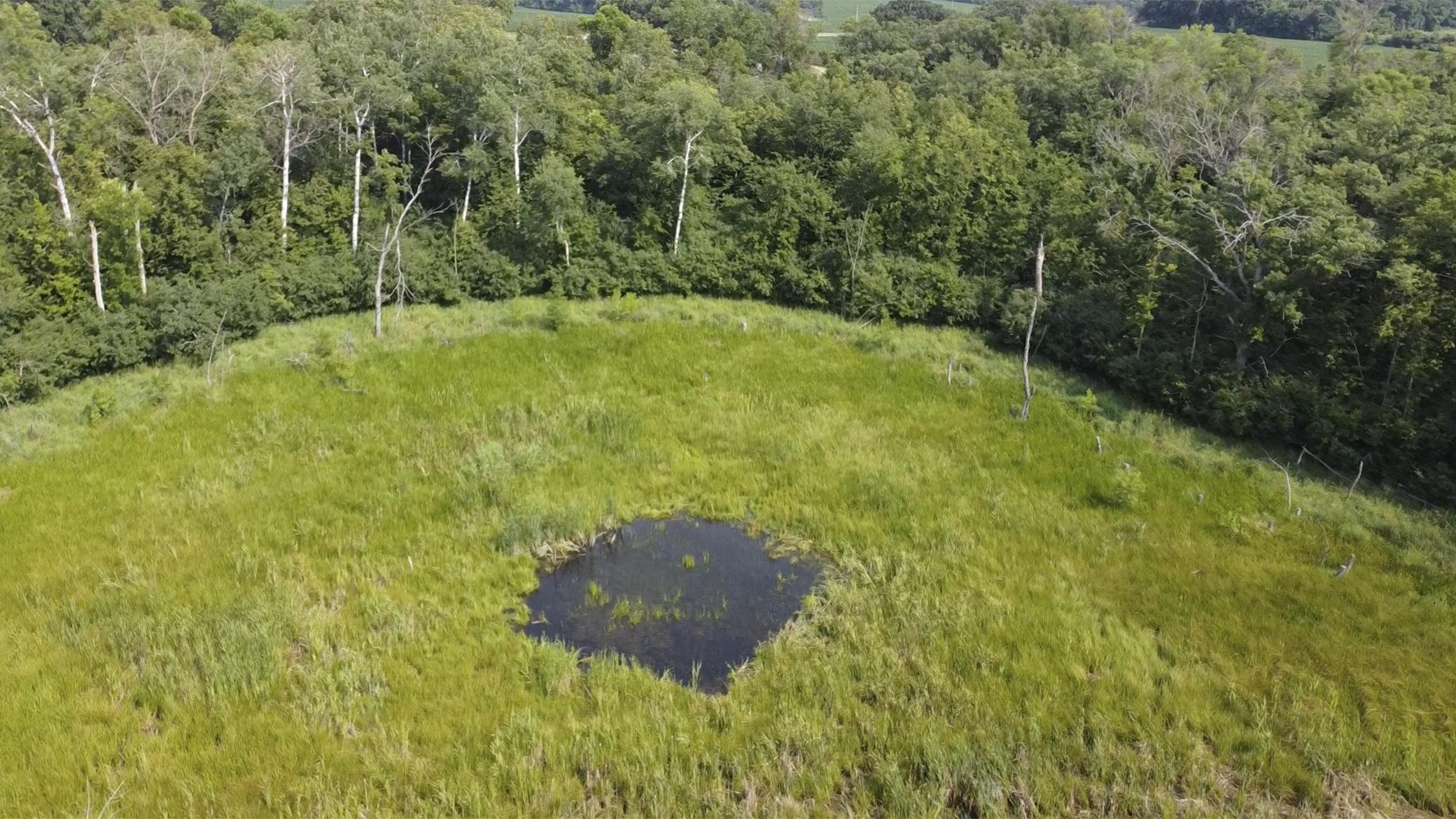 The Pond.jpg