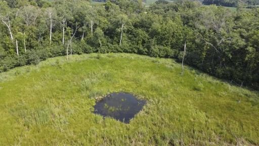 The Pond.jpg