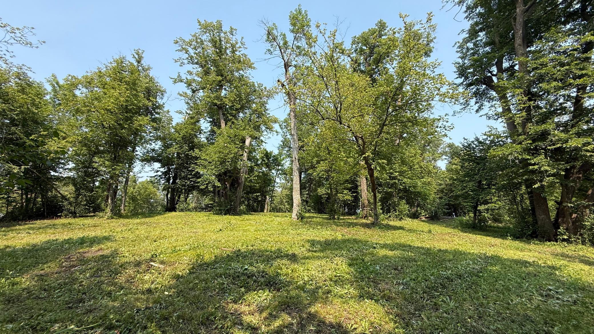 Photo-10.jpg