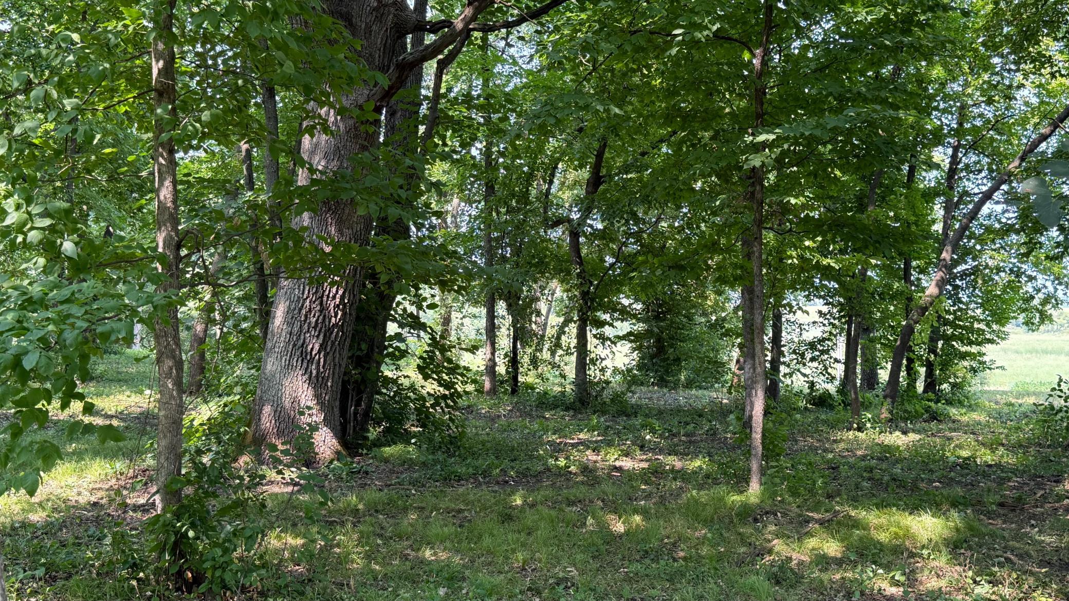 Photo-09.jpg