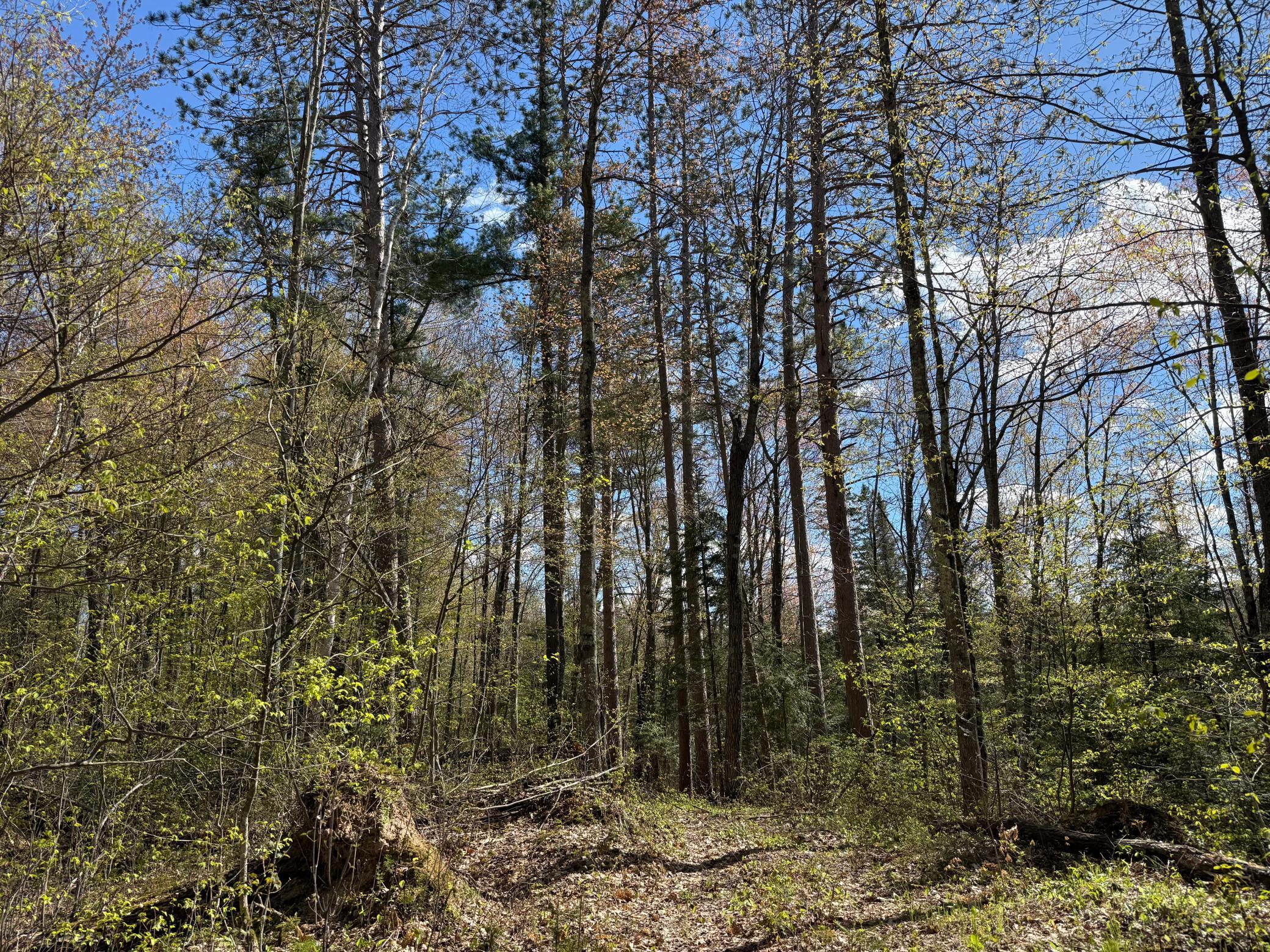IMG_8818.jpeg