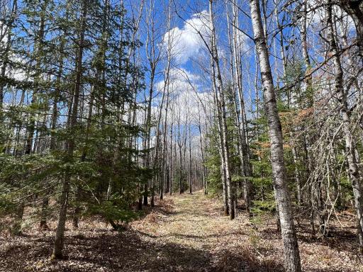 5303 Markham Road, Makinen, MN 55763