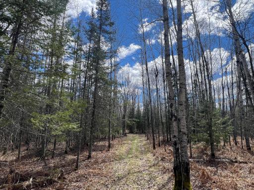 5303 Markham Road, Makinen, MN 55763