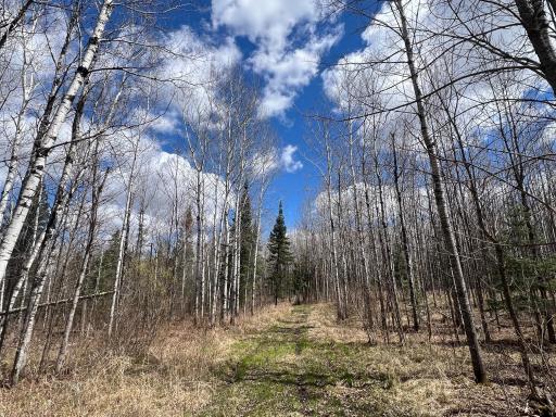 5303 Markham Road, Makinen, MN 55763