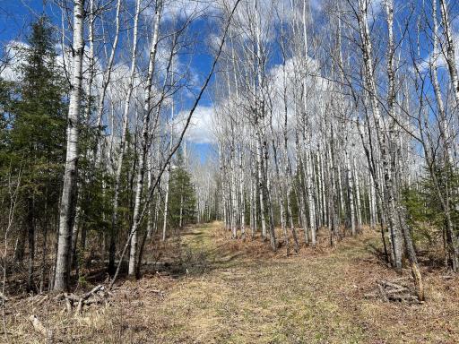 5303 Markham Road, Makinen, MN 55763