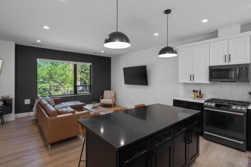 1733 3rd Street NE, Minneapolis, MN 55408