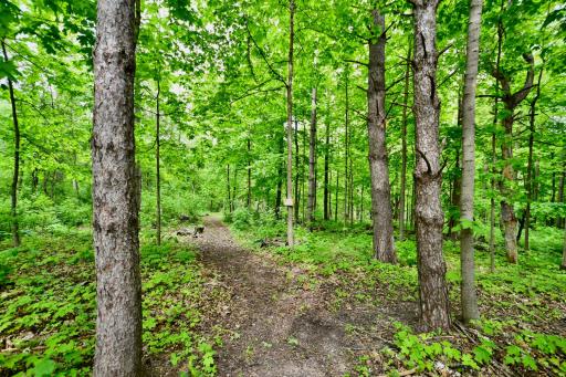 30300 County 1, Spring Valley, MN 55975