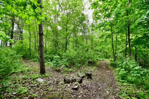 30300 County 1, Spring Valley, MN 55975