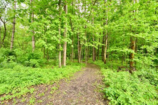 30300 County 1, Spring Valley, MN 55975