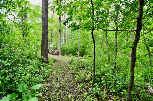 30300 County 1, Spring Valley, MN 55975