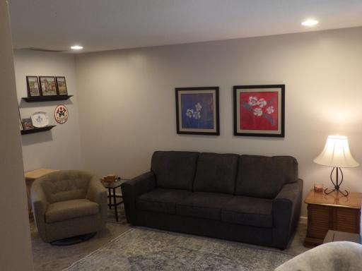 870 W Village Circle SE, Rochester, MN 55904