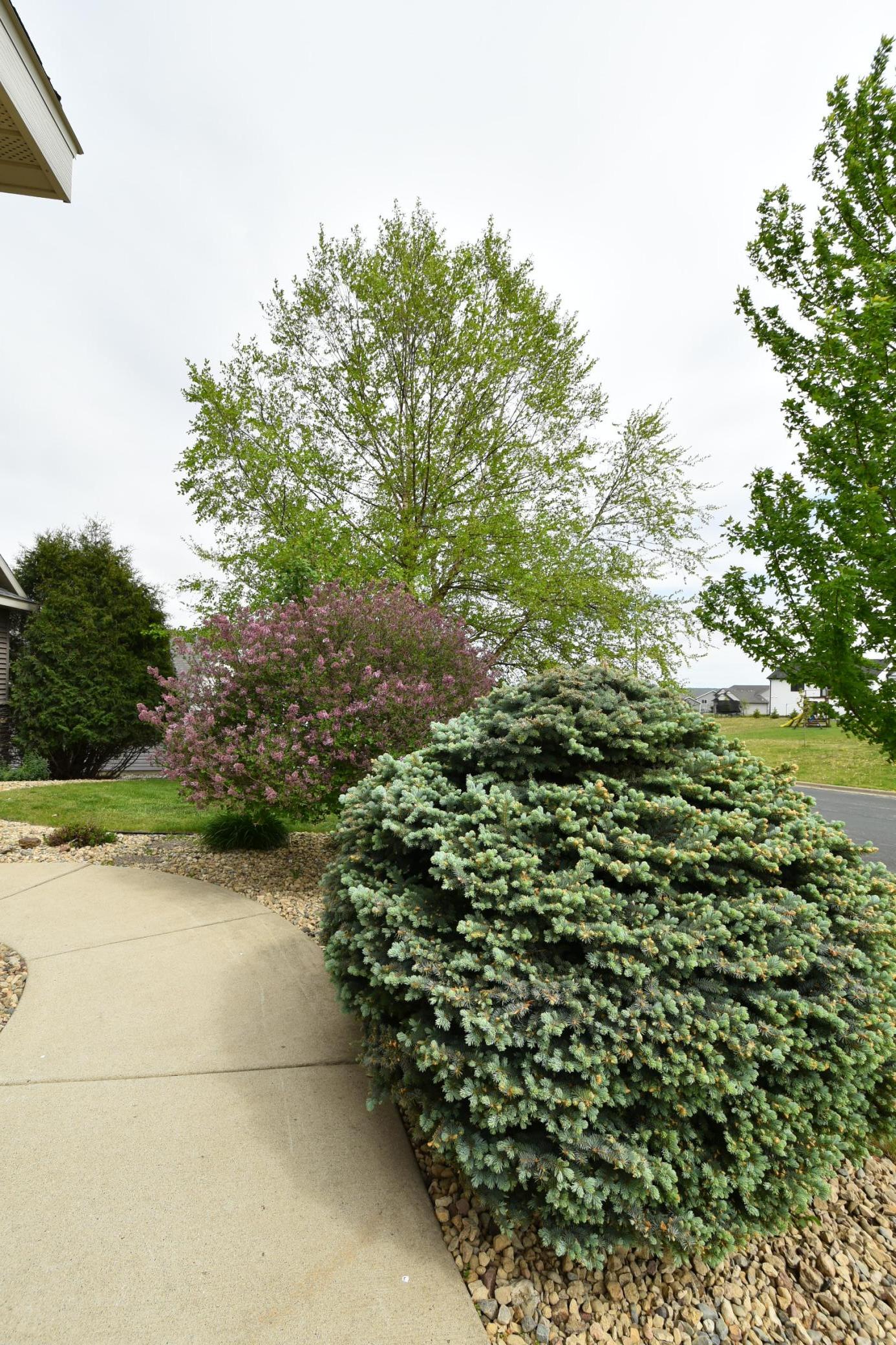 DSC_8860.jpg