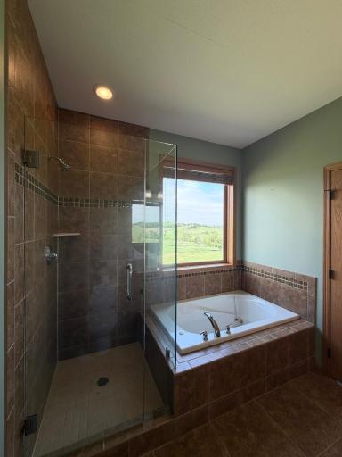 Tiled, glass enclosed shower with separate jetted tub