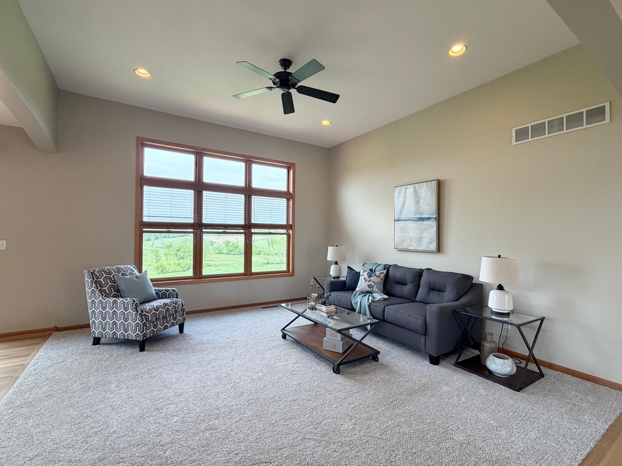 new living room carpet