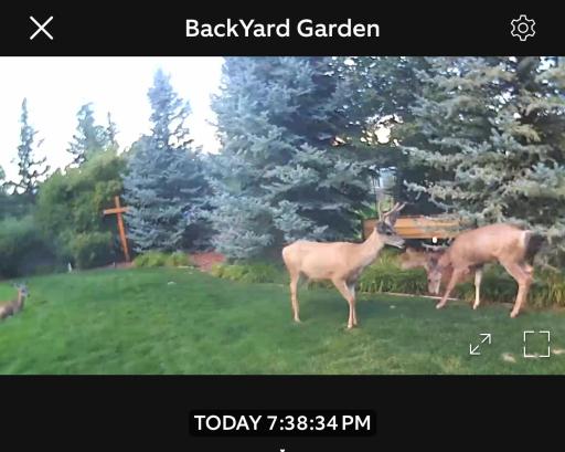 5737 N Highlands Court, Lake Elmo, MN 55042