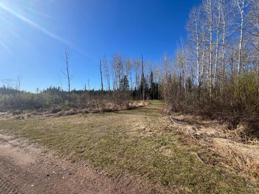 TBD Purple Rain Road, Barnum, MN 55707