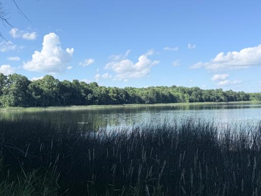 50050 Leek Lake Drive, Vergas, MN 56587