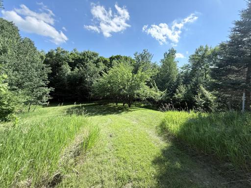 50050 Leek Lake Drive, Vergas, MN 56587