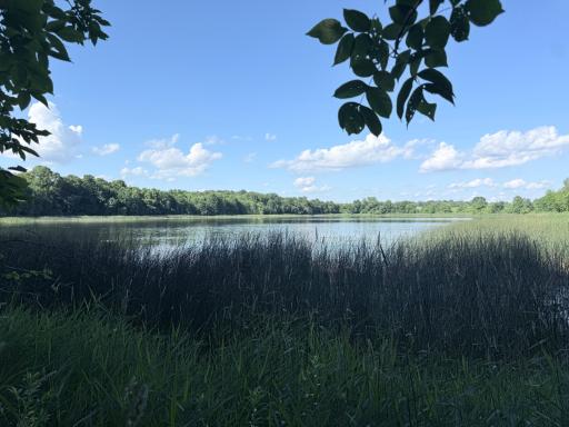 50050 Leek Lake Drive, Vergas, MN 56587
