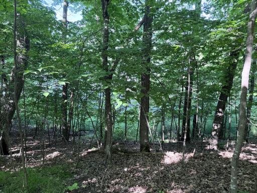 50050 Leek Lake Drive, Vergas, MN 56587
