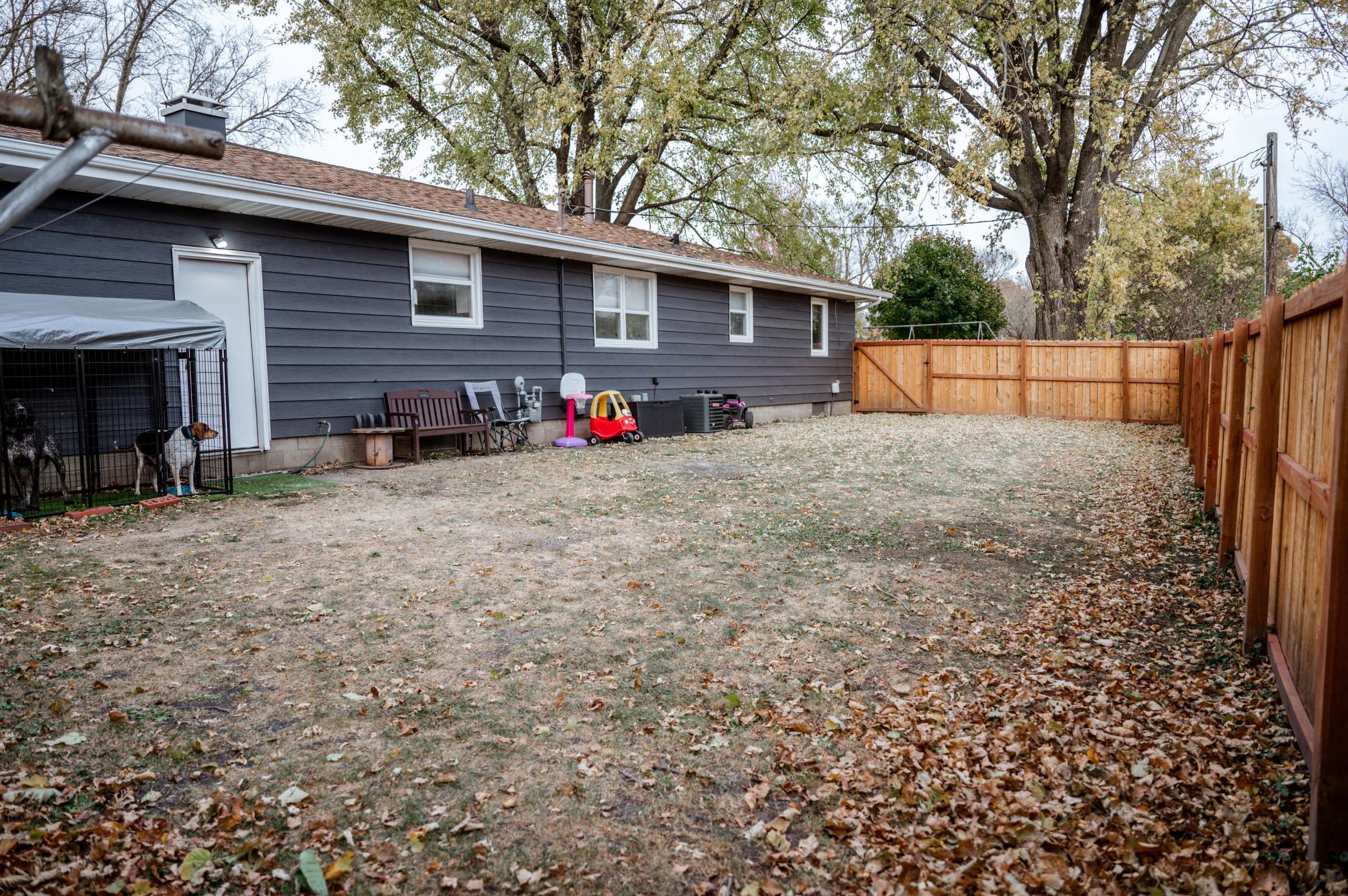 Back Yard