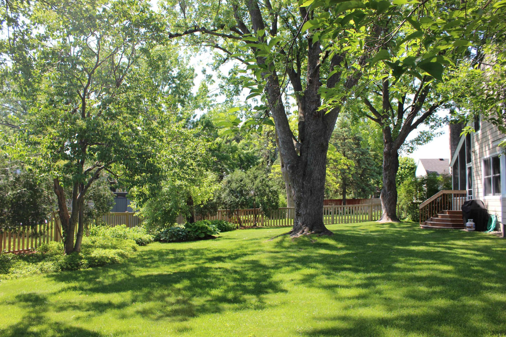 Beautiful Fenced Yard