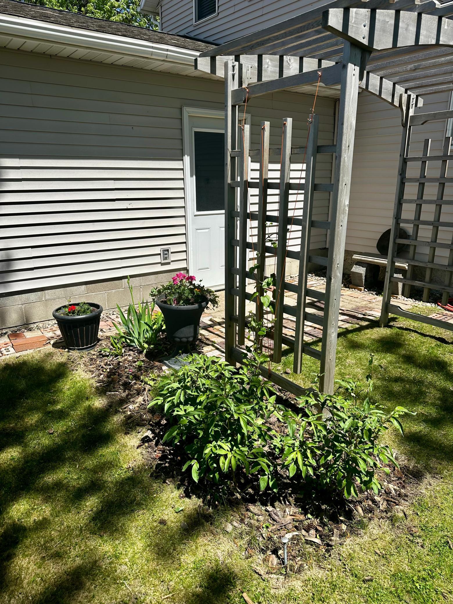 Photo 33