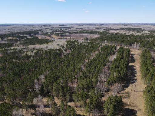 TBD (164.21AC) Maple Grove Road, Cloquet, MN 55720