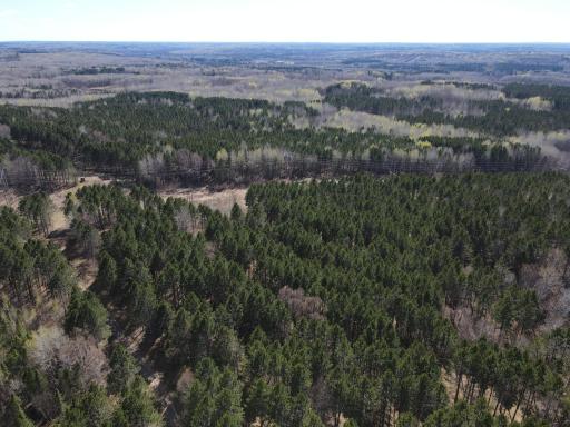TBD (164.21AC) Maple Grove Road, Cloquet, MN 55720