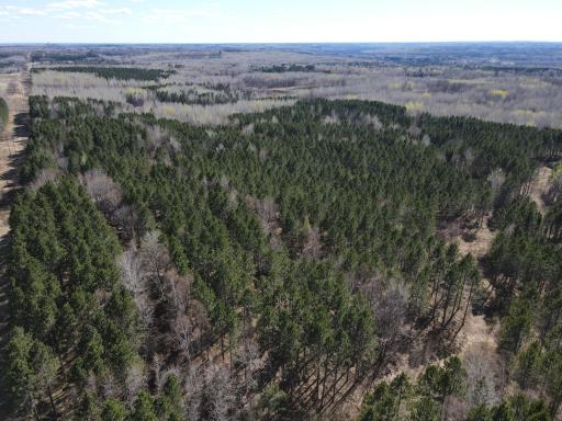 TBD (164.21AC) Maple Grove Road, Cloquet, MN 55720