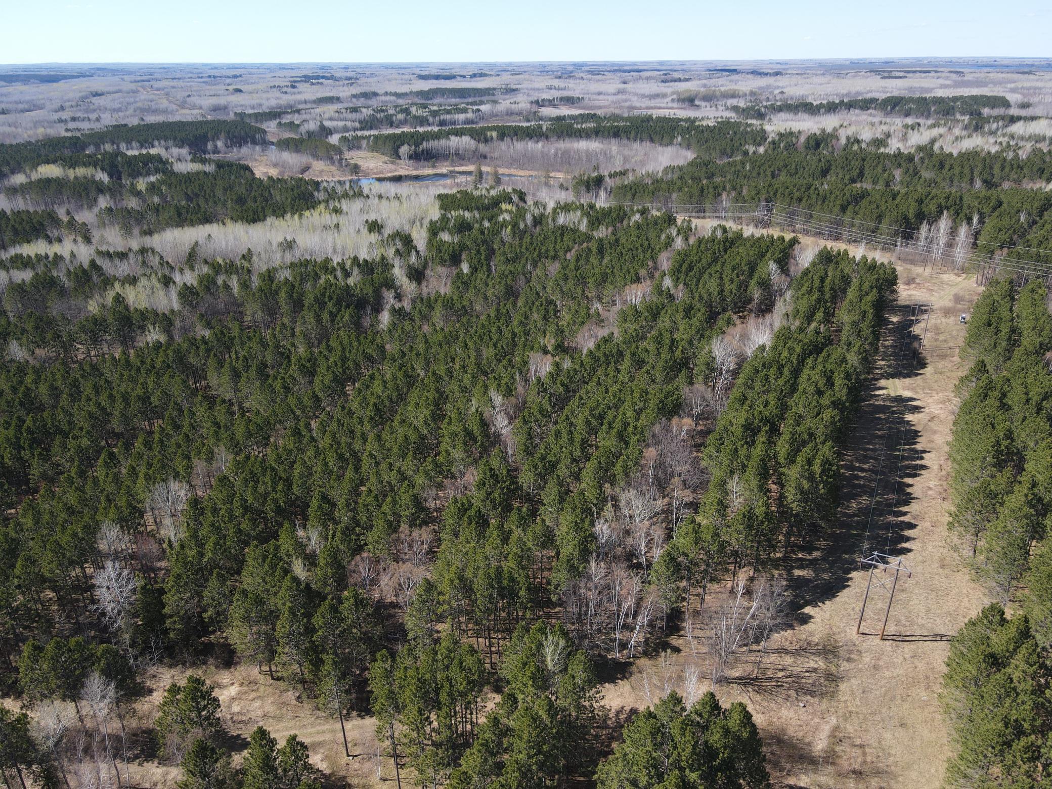 East line of the land facing North