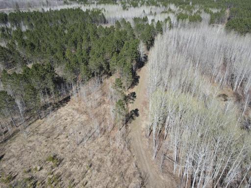 TBD (164.21AC) Maple Grove Road, Cloquet, MN 55720