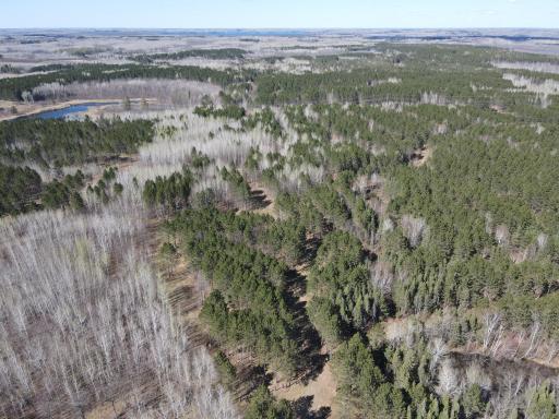 TBD (164.21AC) Maple Grove Road, Cloquet, MN 55720