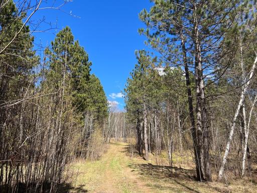 TBD (164.21AC) Maple Grove Road, Cloquet, MN 55720