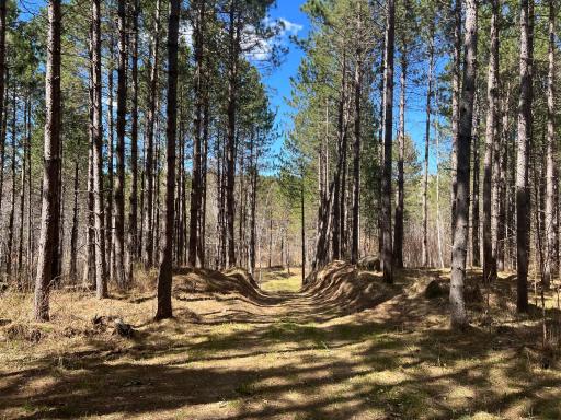 TBD (164.21AC) Maple Grove Road, Cloquet, MN 55720
