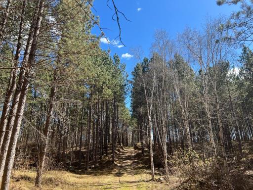 TBD (164.21AC) Maple Grove Road, Cloquet, MN 55720