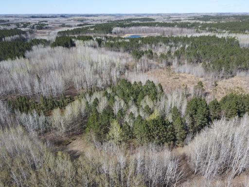 TBD (280AC) Maple Grove Road, Cloquet, MN 55720