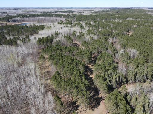 TBD (280AC) Maple Grove Road, Cloquet, MN 55720