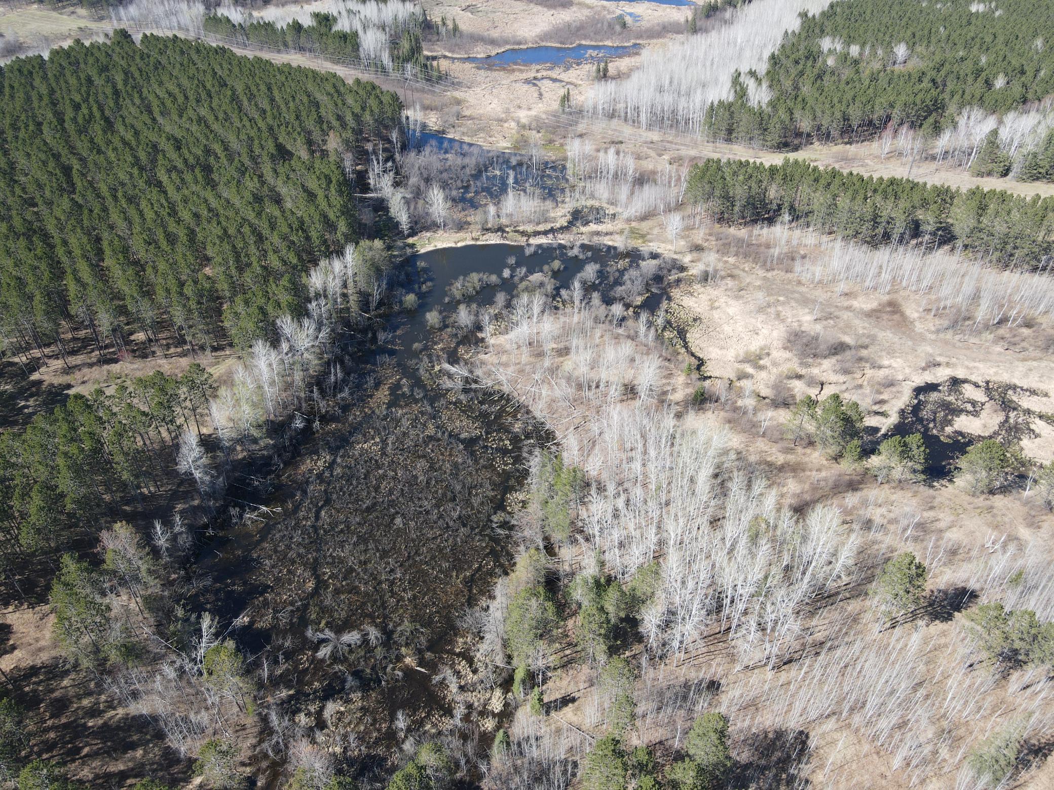 One of several pond and trout streams along the northern portion of the property