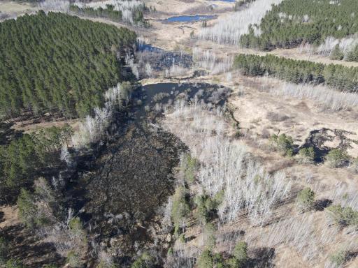 One of several pond and trout streams along the northern portion of the property