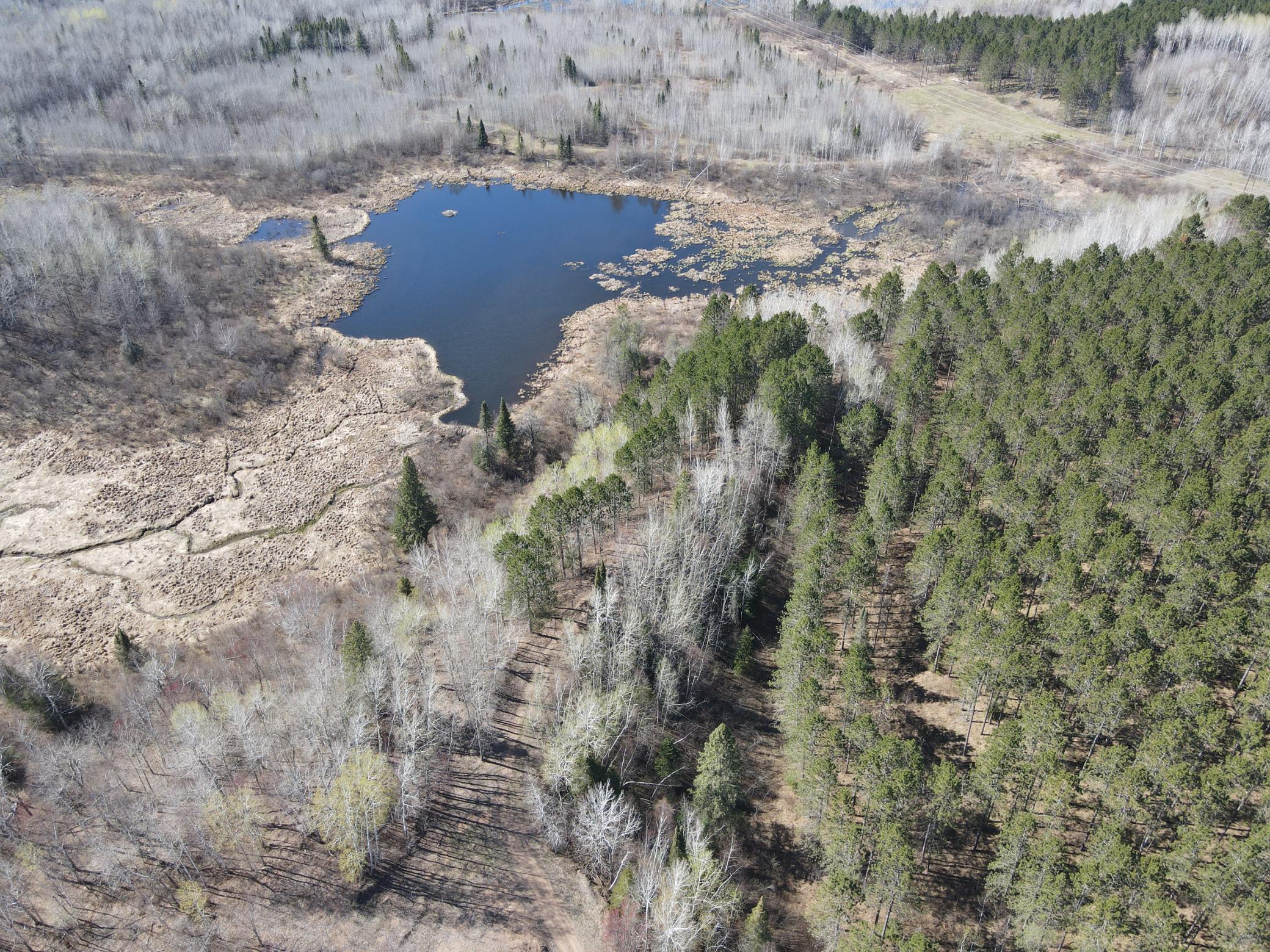 Duck pond on the NW portion of the land