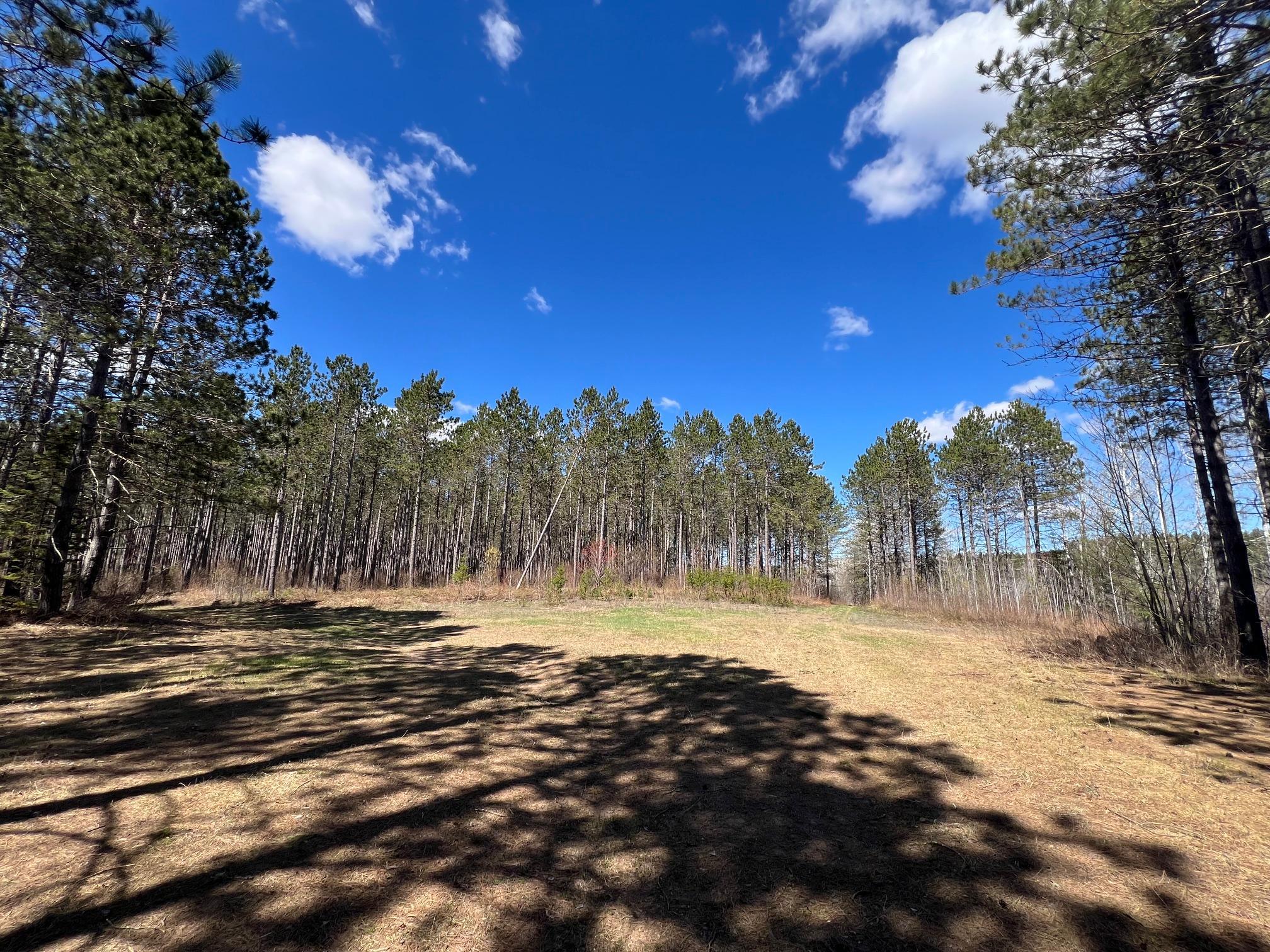 Food plots