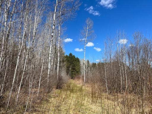 TBD (280AC) Maple Grove Road, Cloquet, MN 55720