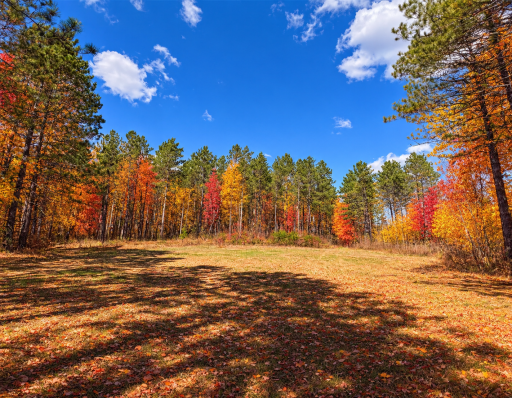 TBD (280AC) Maple Grove Road, Cloquet, MN 55720