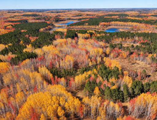 TBD (280AC) Maple Grove Road, Cloquet, MN 55720