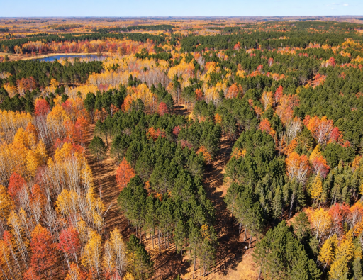 TBD (280AC) Maple Grove Road, Cloquet, MN 55720