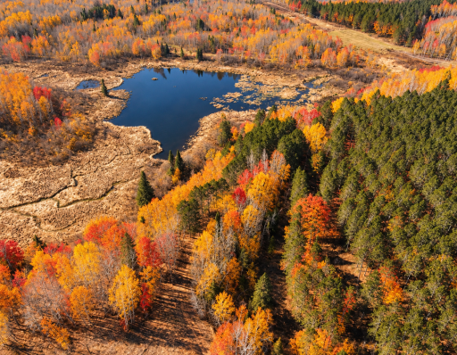 TBD (280AC) Maple Grove Road, Cloquet, MN 55720