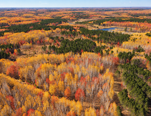 TBD (280AC) Maple Grove Road, Cloquet, MN 55720